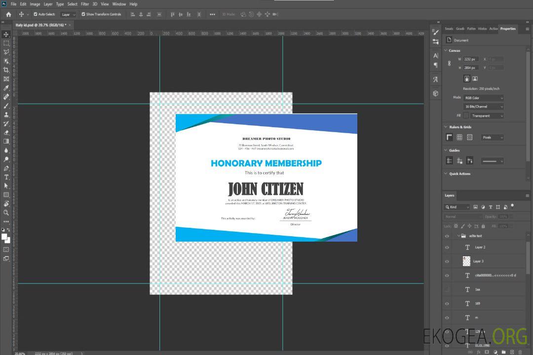 Modèle de certificat de membre honoraire des États-Unis dans Word template